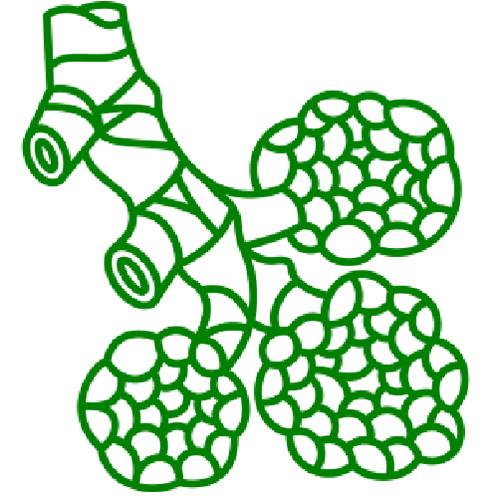 ventilation inhomogeneity
