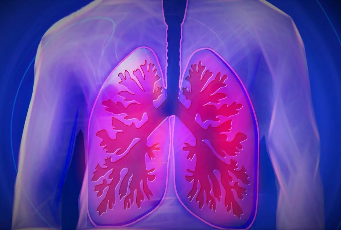 Cartoon lungs